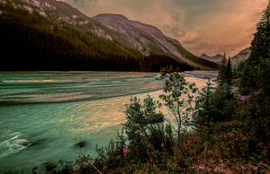 Jasper Athabasca River Sunset Wildflowers