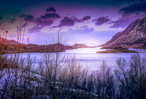 Lofoten Coastal Road