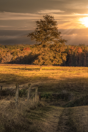 Baldwin Beef Farm Pond Reflections