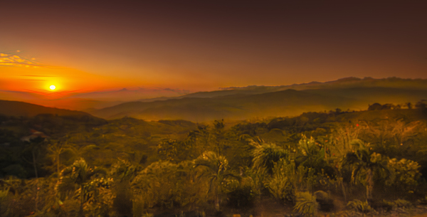 Costa Rica Mountain Plantation  Print
