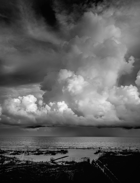 South Carolina Beach Force of Nature Print