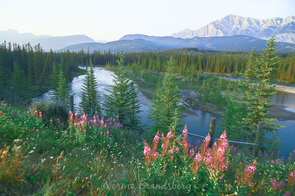 Banff Alberta Canada Bow River Overlook Print