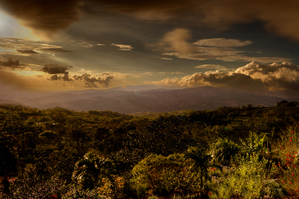 Costa Rica San Ramon Coffee Plantation  Gulf of Nicoya