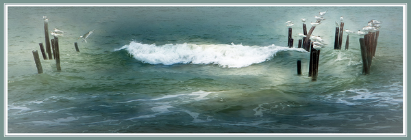 Sea Gulls Shaken Not Stirred in Costa Rica  Print