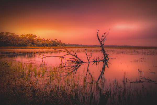 Edisto Island Marsh Daybreak Print