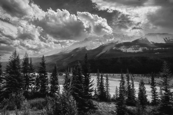 Icefield Parkway Sunset in Black and White Print