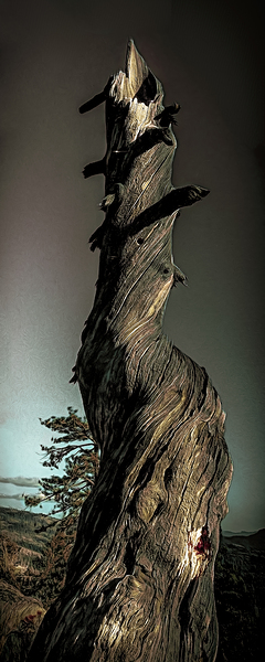 Abstract Heavenly Tree Print