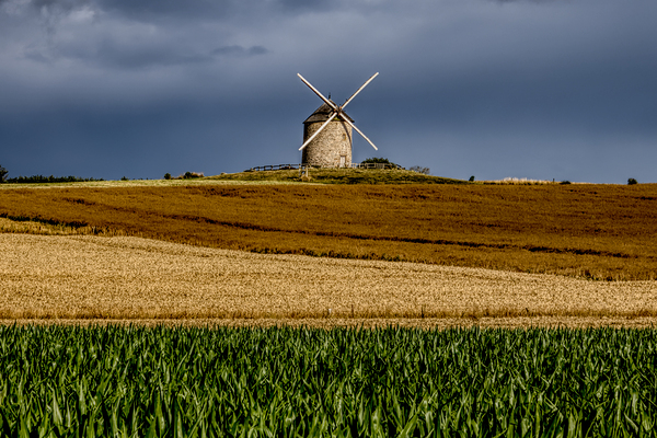 Mont Saint Michel Moulin de Moidrey Windmill  Print
