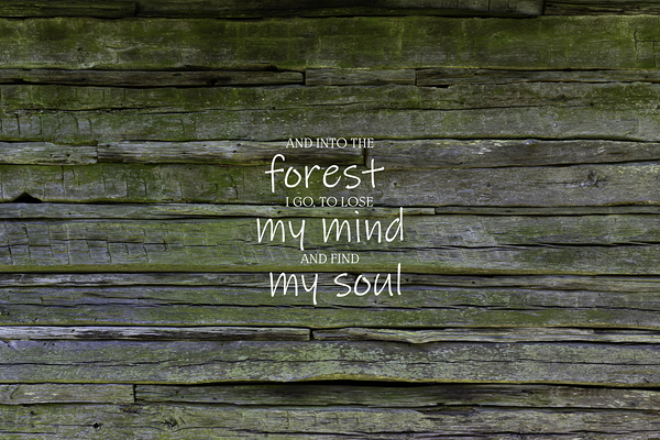 Into the Woods Muir Quote
