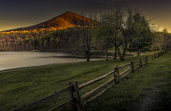 Say Goodnight World Print