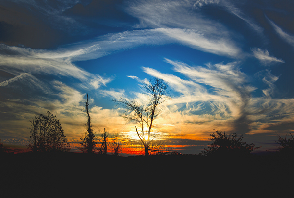 Road Trip to Charleston Sunset Print
