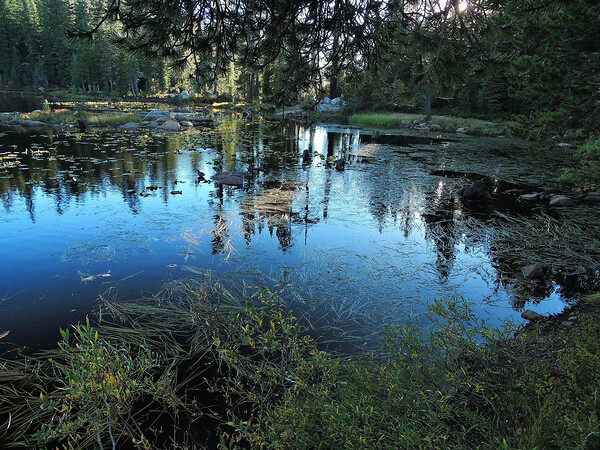 Sierra Mountain Pond Evening Reflections Print