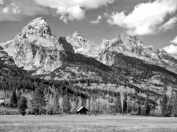 Teton Barn Alone in the Wilderness in Black and White Print