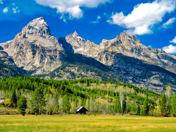 Teton Cabin Alone in the Wilderness  Print