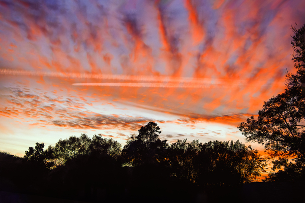 Airplane Contrails in the Sky Print