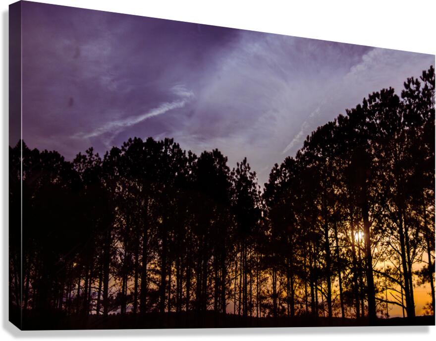 Peeking Through Trees Canvas Print