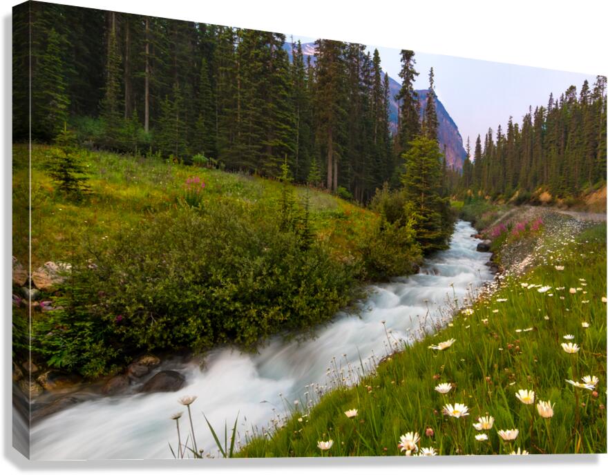 Moraine Stream Wildflower Display Canvas Print
