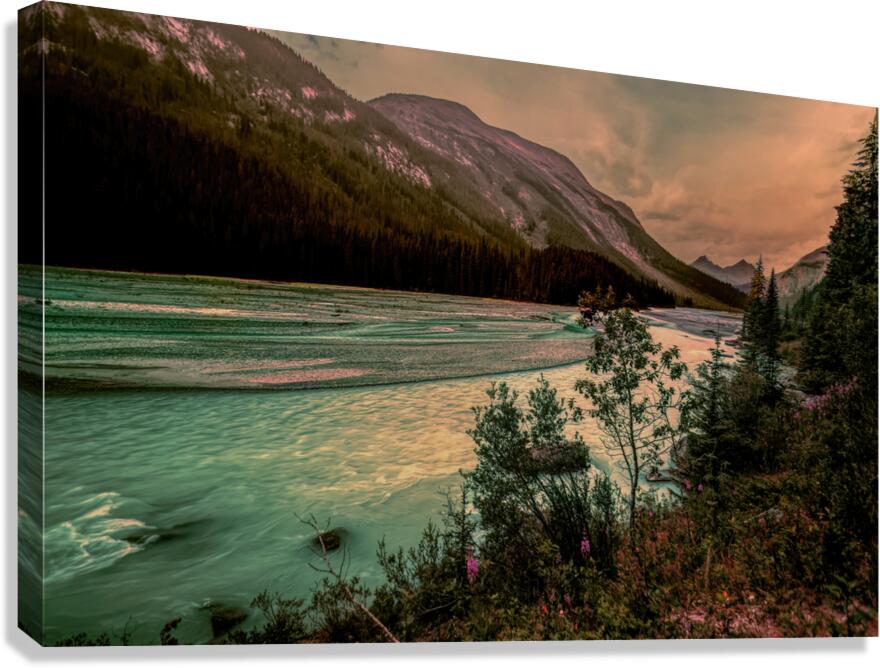 Jasper Athabasca River Sunset Wildflowers Canvas Print