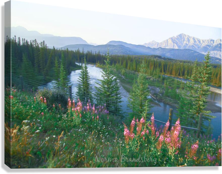 Banff Alberta Canada Bow River Overlook Canvas Print
