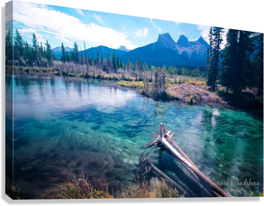 Banff Alberta Canada Bow River Canmore Canvas Print