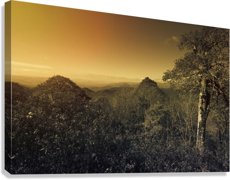 Smoky Mountains Forest Overlook Canvas Print