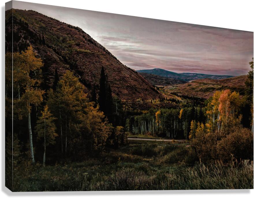 Aspen Glow in Snowmass Canvas Print
