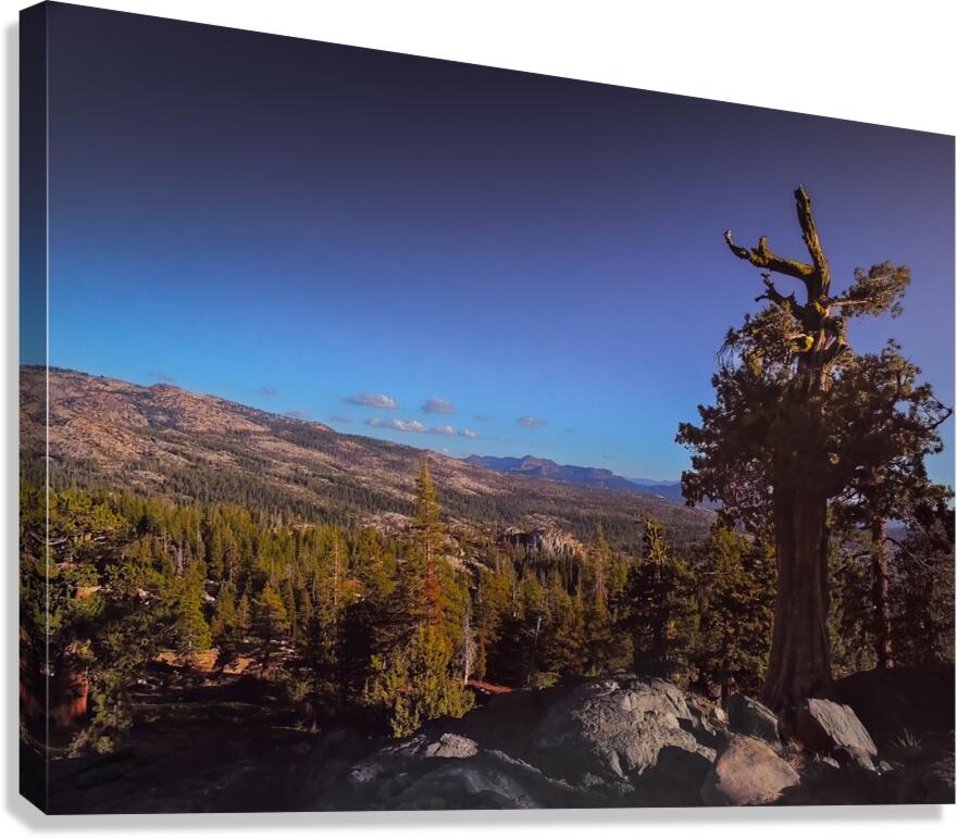 Eldorado National Forest Canvas Print