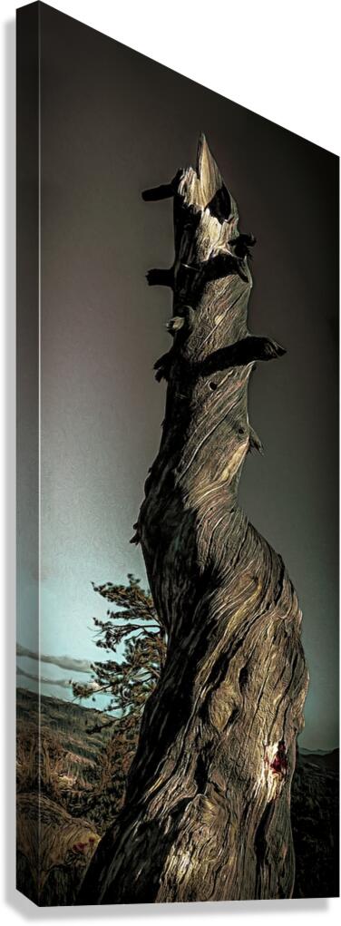 Abstract Heavenly Tree Canvas Print