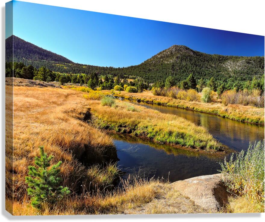 Lake Tahoe Desert Grass Marsh Canvas Print