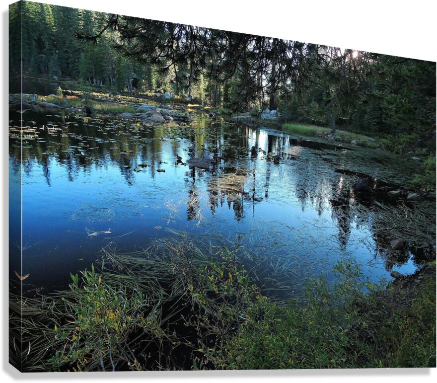 Sierra Mountain Pond Evening Reflections Canvas Print