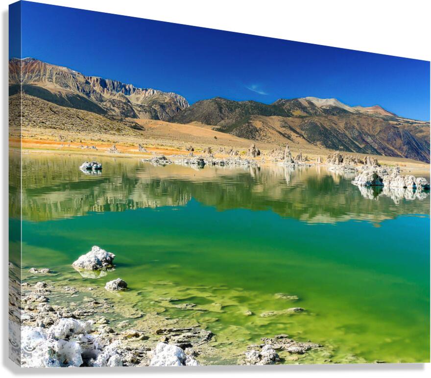 Mono Lake Tufa Statues Canvas Print
