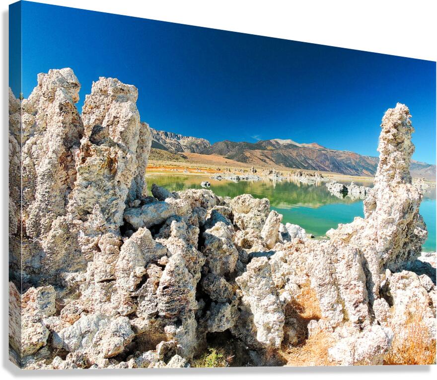 Mono Lake Tufa Salt Lake Canvas Print