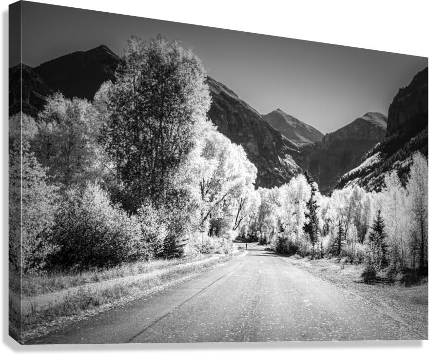 Aspen Backroad Mountain Runner Canvas Print