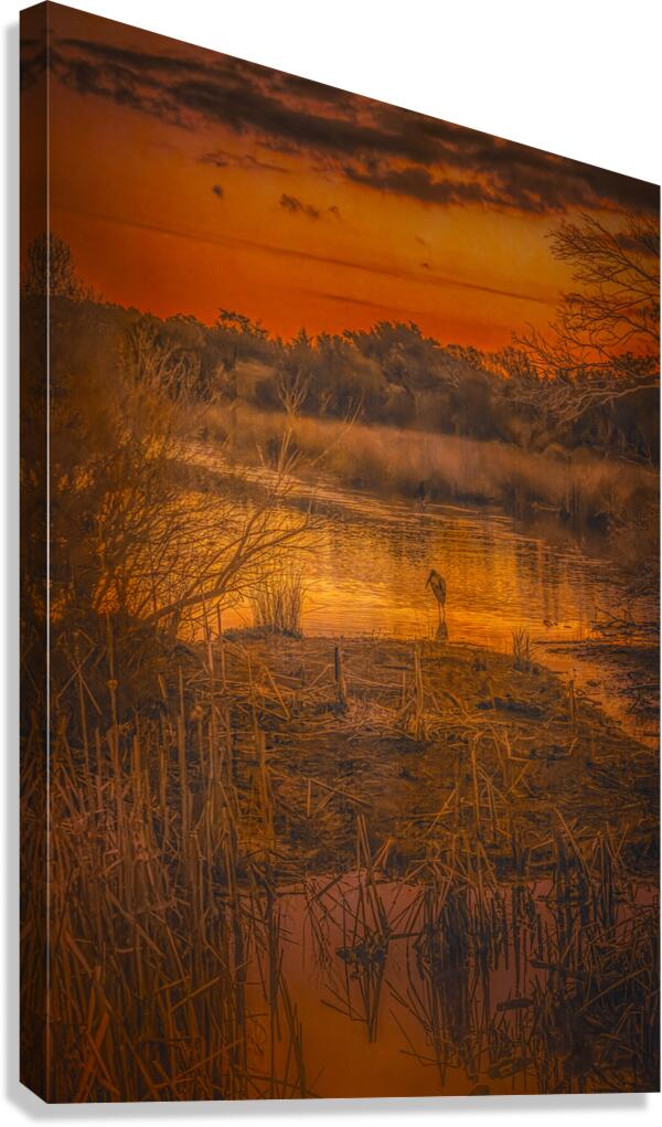 South Carolina Marsh Winter Sunrise Glow Canvas Print