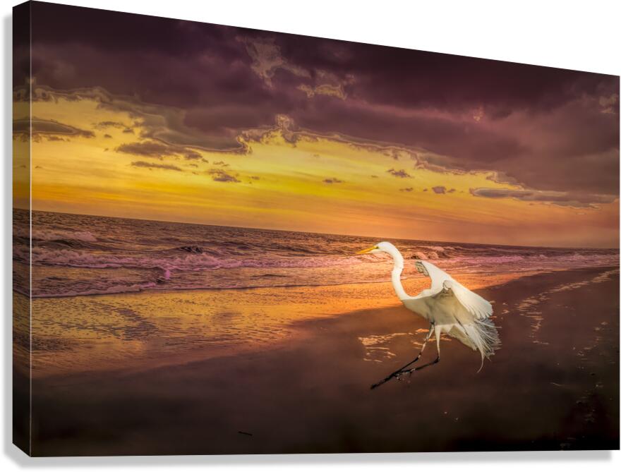 Sunrise Heron Winter Beach Landing Canvas Print
