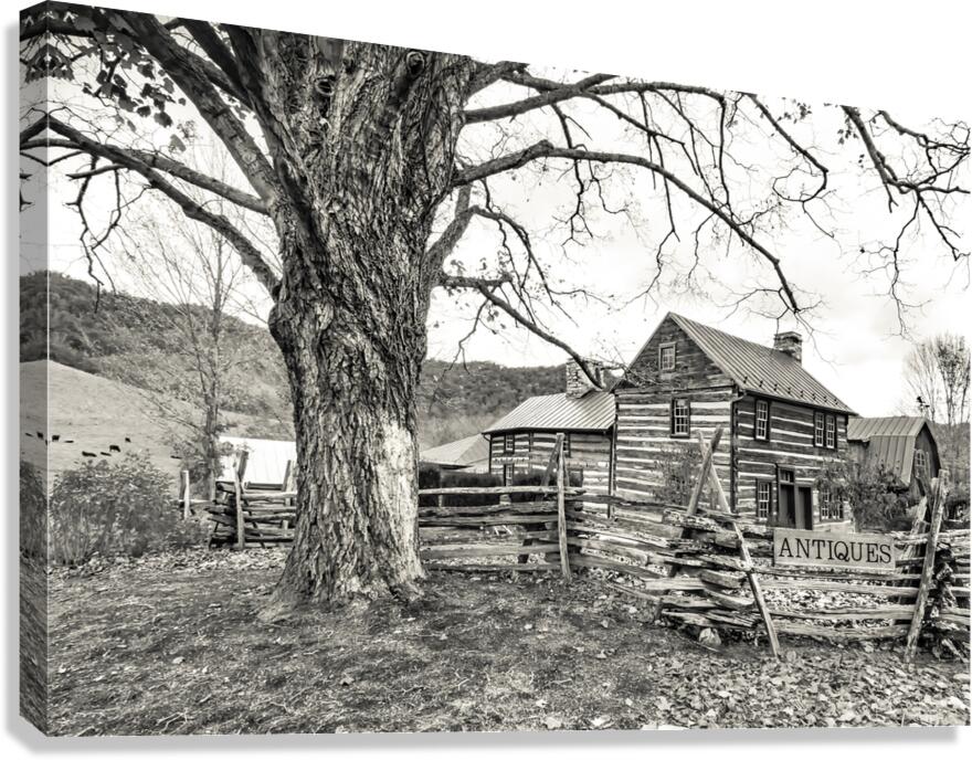 Homestead Sam Stead Antique Store  Canvas Print