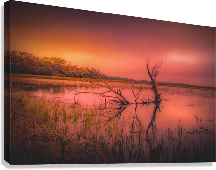 Edisto Island Marsh Daybreak Canvas Print