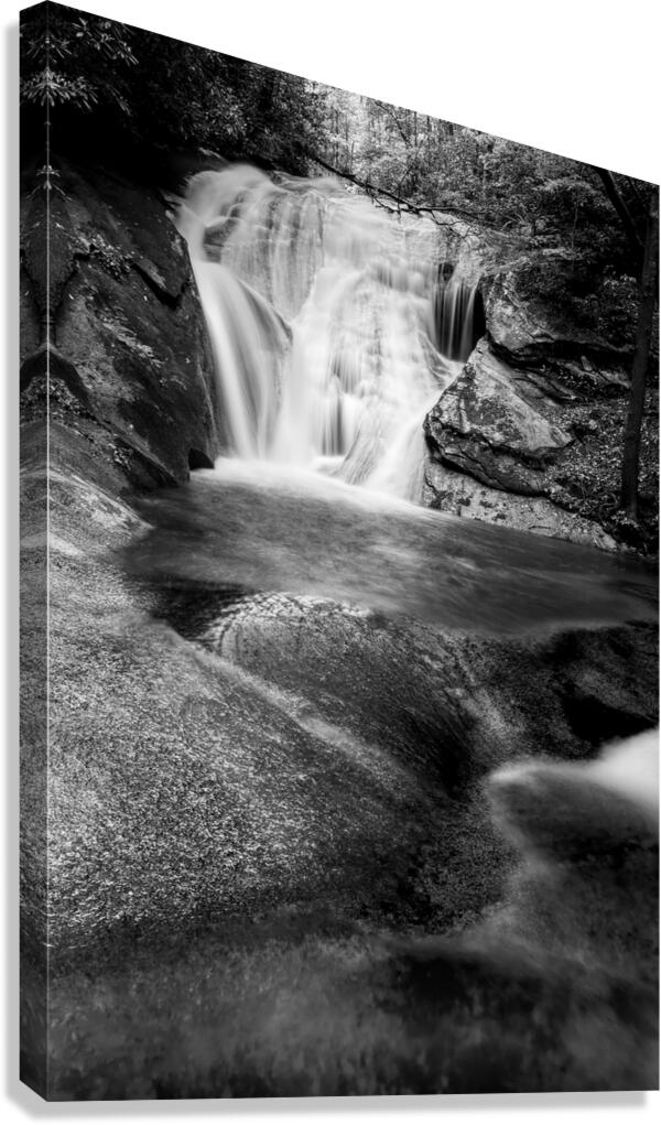 North Carolina River Runs Through It Canvas Print