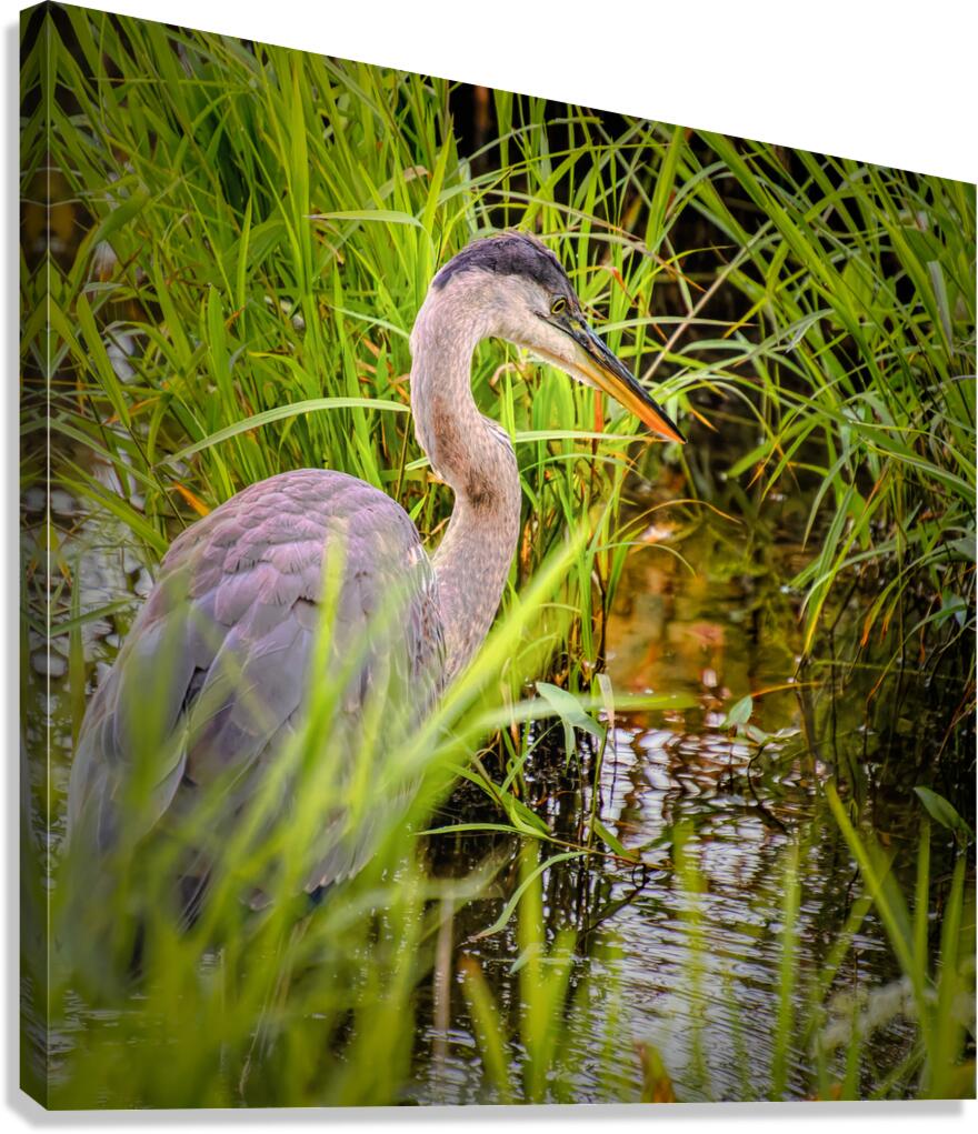 Breakfast at Peaks of Otter Canvas Print