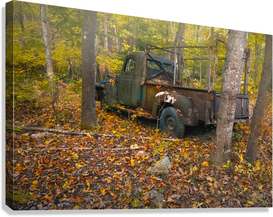 Truck Parked Forever Canvas Print