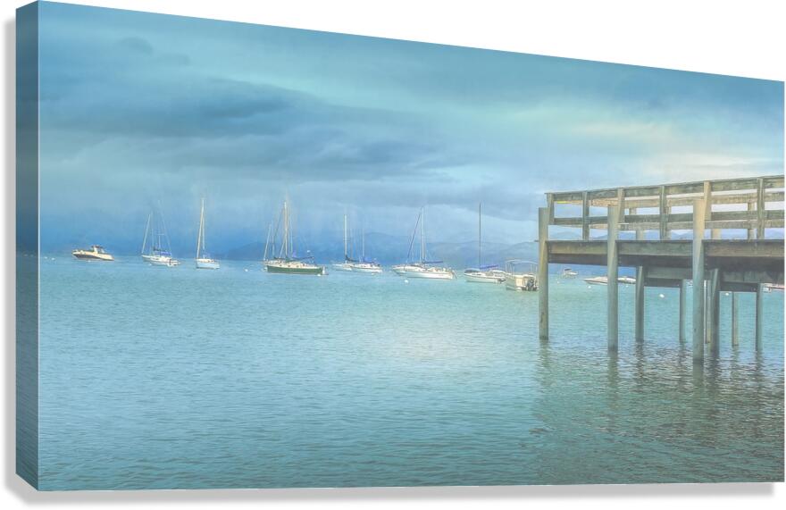 On Its Last Legs Canvas Print