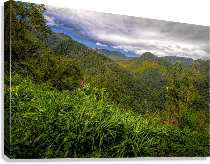 Costa Rica Colors of the Rainforest  Canvas Print