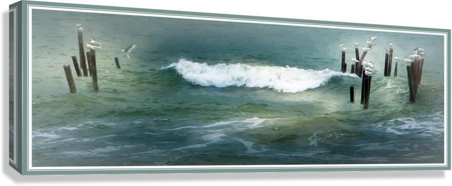 Sea Gulls Shaken Not Stirred in Costa Rica  Canvas Print