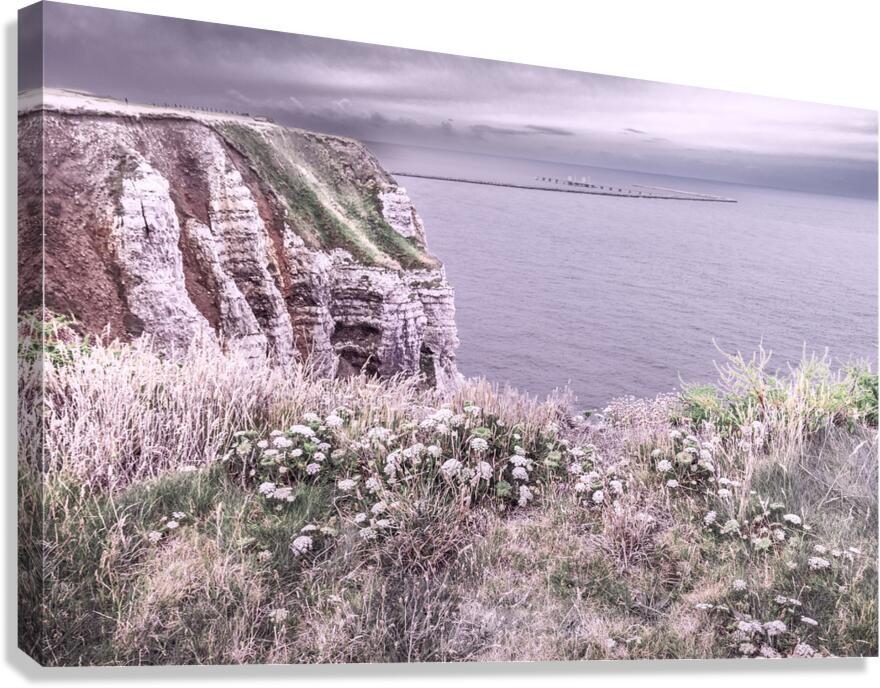 La Poterie Cap dAntifer Cliffs  Canvas Print