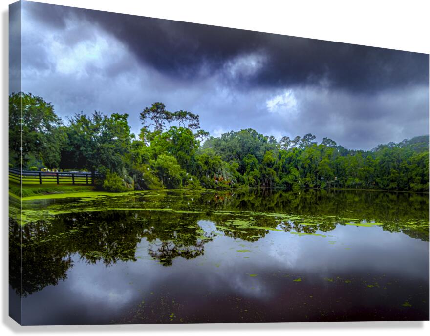 Sea Pines Rookery and Horse Farm Canvas Print