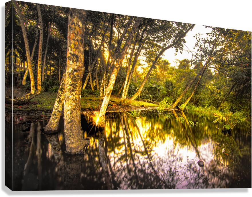 Playa Grande en Cahuita Beach Wetlands  Canvas Print