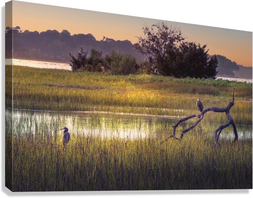 Hilton Head Wetlands Marsh Canvas Print