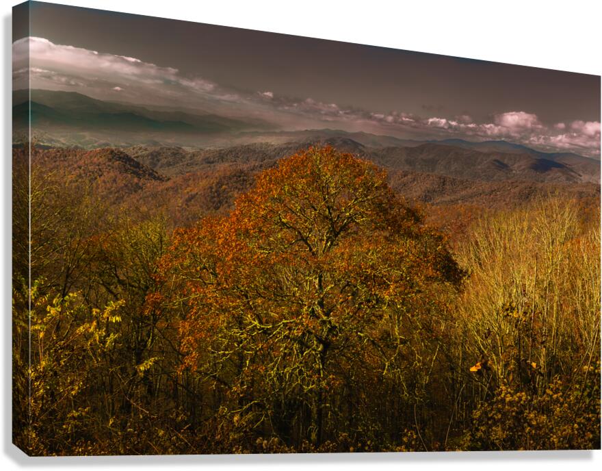 Smoky Mountains Autumn Overlook Canvas Print