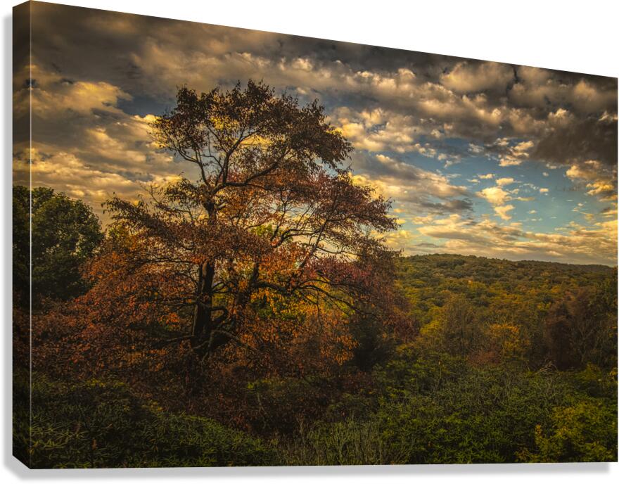 Blue Ridge Parkway on my Mind in Autumn Canvas Print