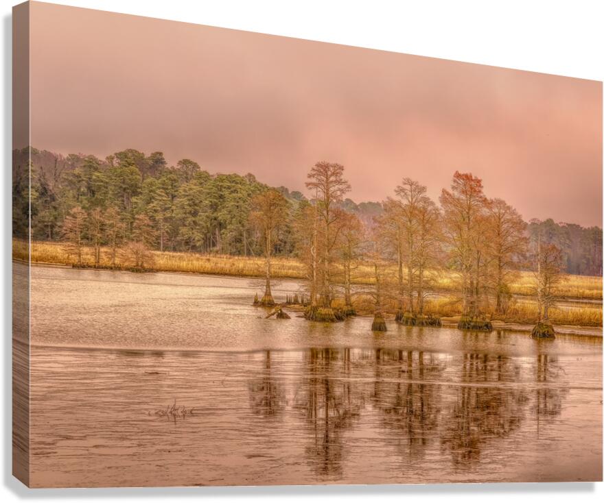 On the Road to Jamestown Canvas Print